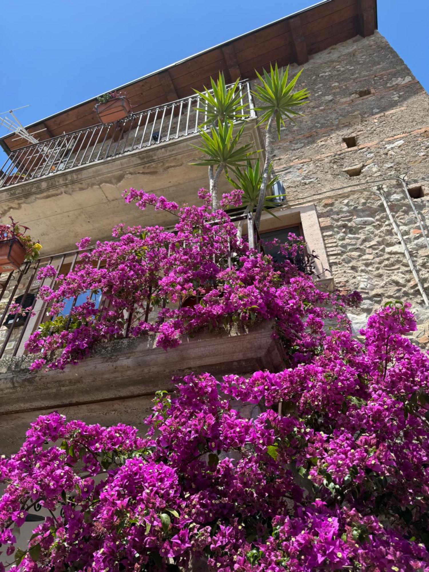 B&B Dhafna Civita Exterior foto